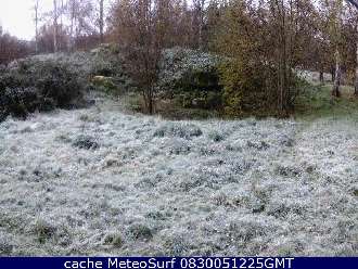 Webcam Beenham Wolf Conservation