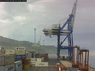 Webcam Dunedin Port