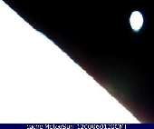 Live United Arab Emirates