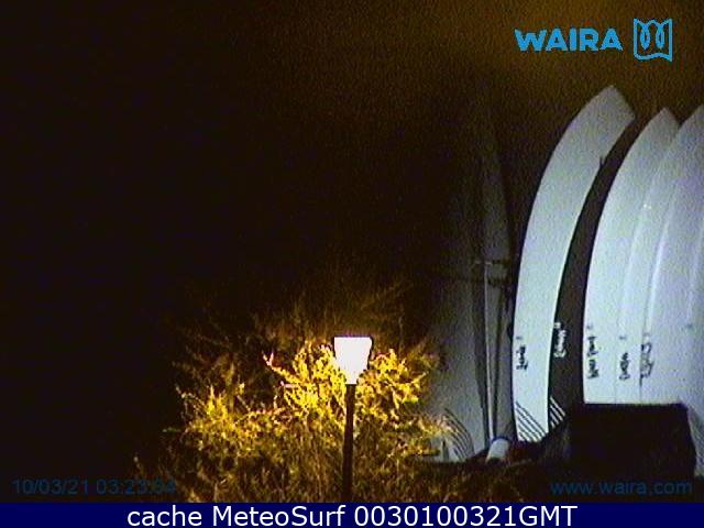 webcam Patos Pontevedra